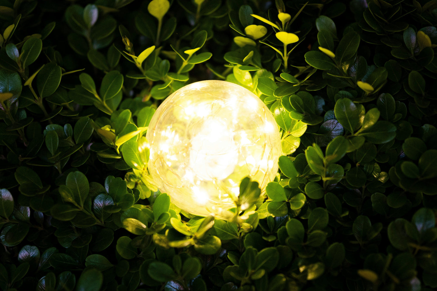 Le capital psychologique : Les clés de la réussite