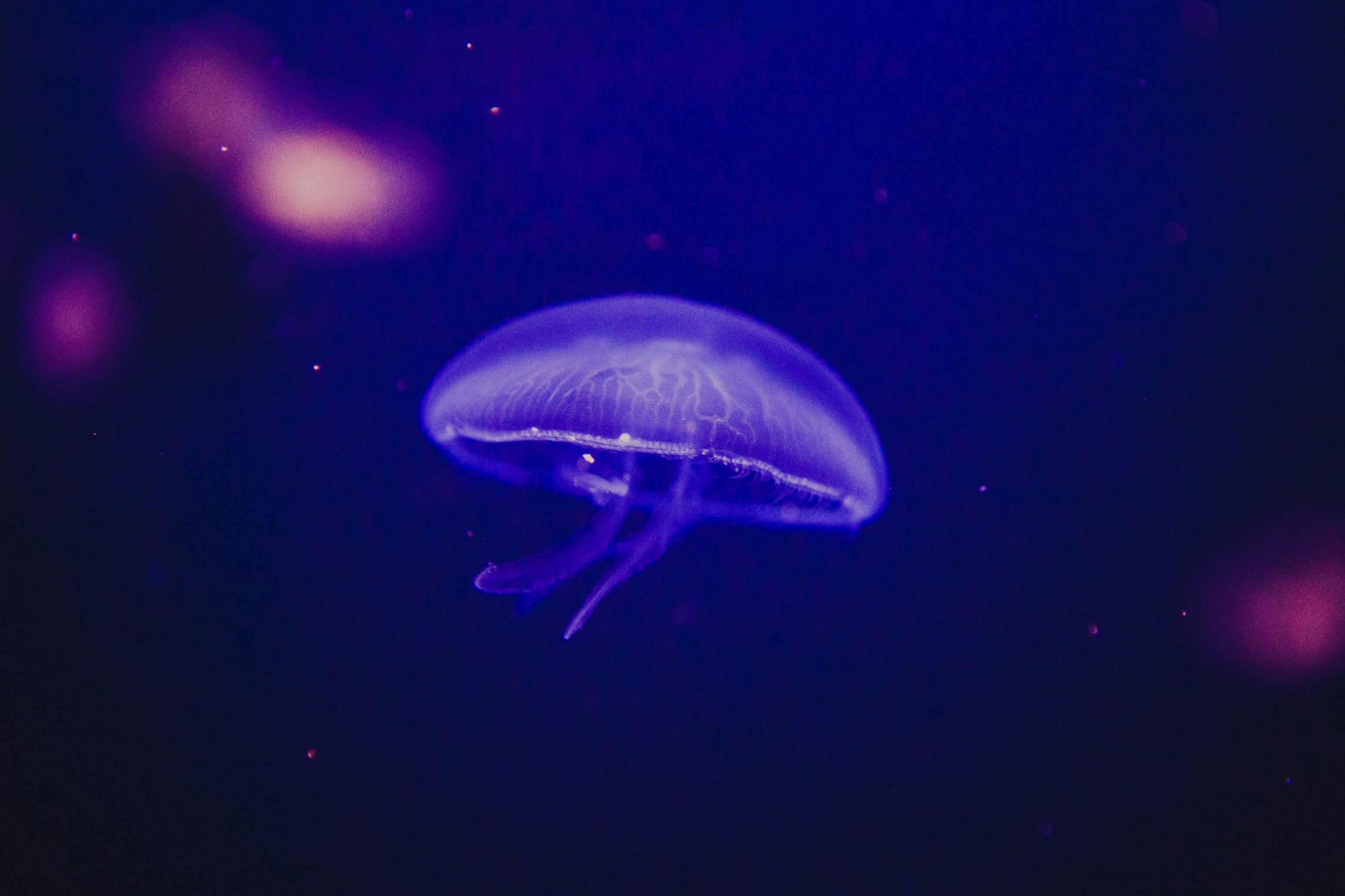 Treinamento de Facilitação - Facilitador Certificado SPARK Resilience® 1/2