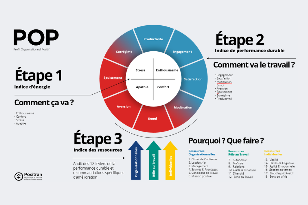 Le Profil Organisationnel Positif
