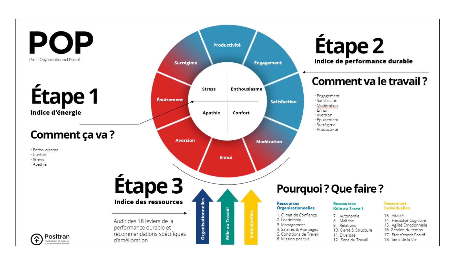Le Profil Organisationnel Positif
