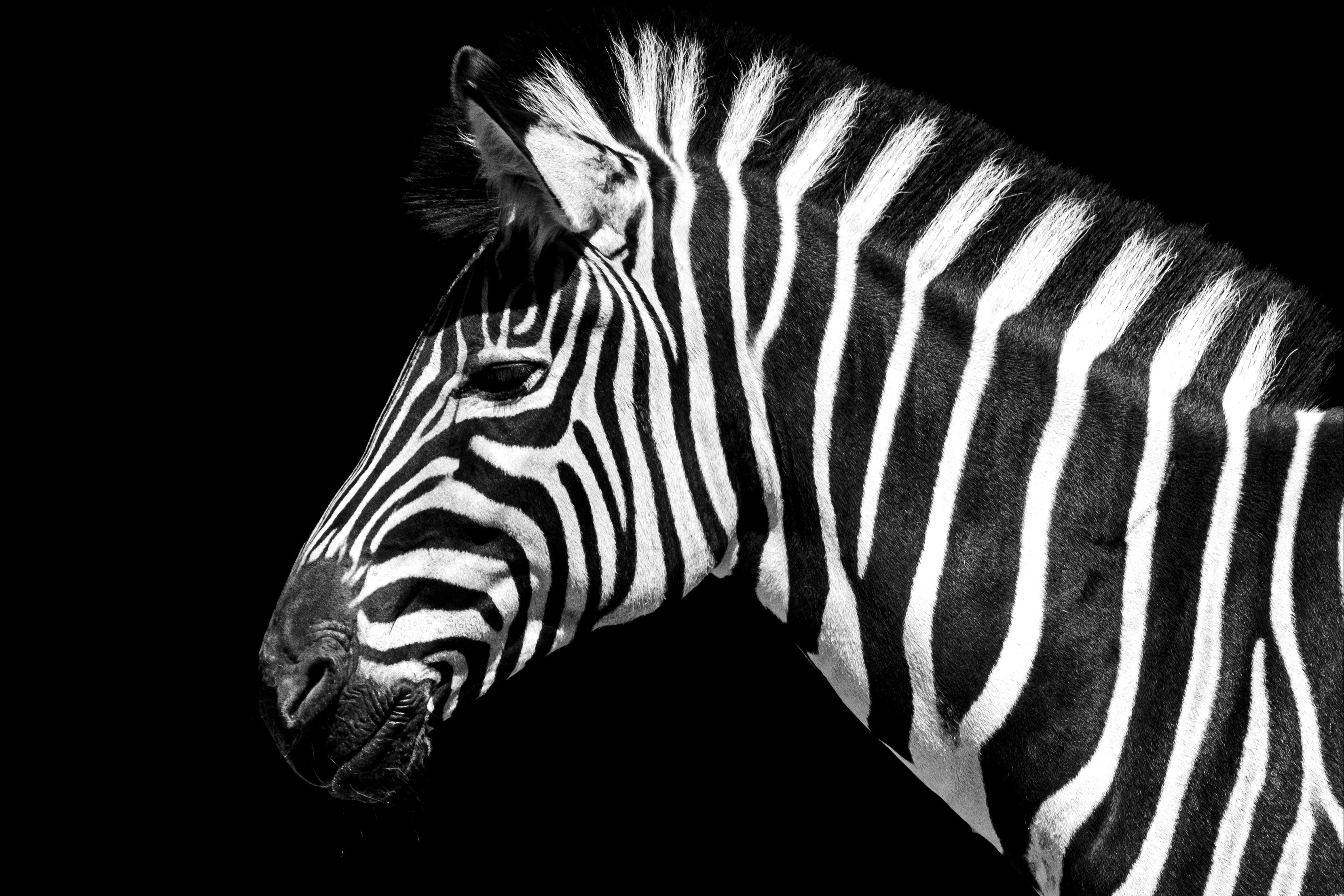 Individual Digital Diagnostic - SOLO+: Discover your strengths and find the best way for it