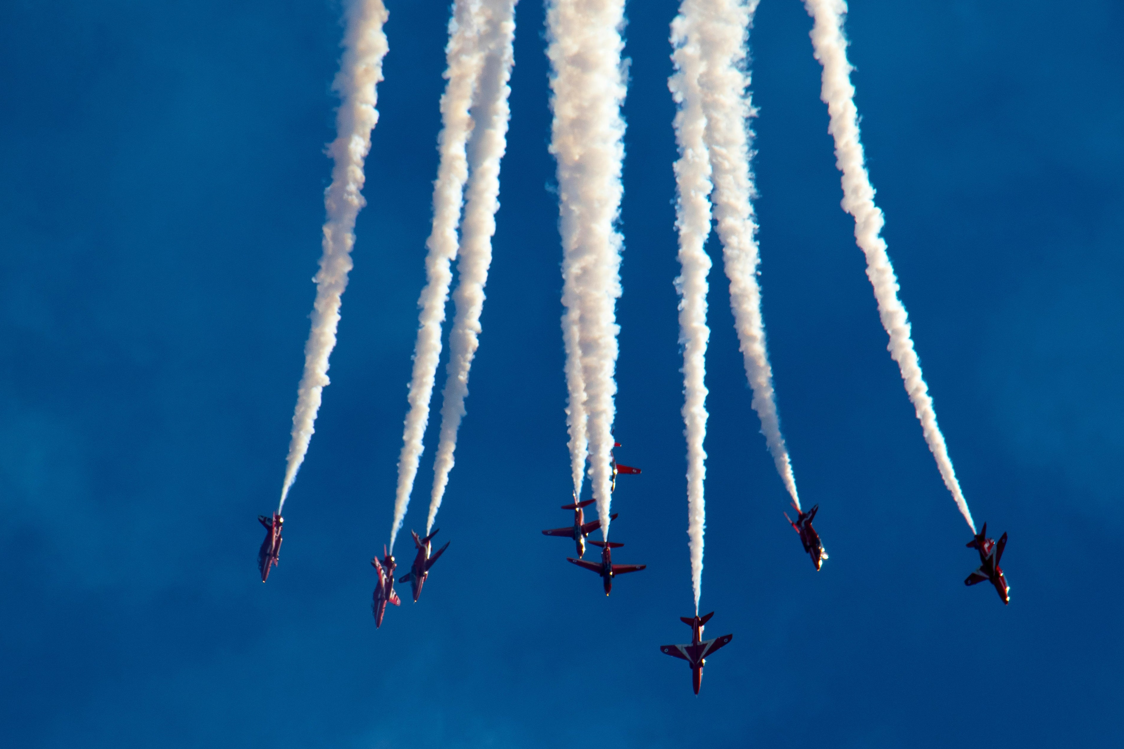 Los 5 mejores entrenamientos: Desatando el genio colectivo